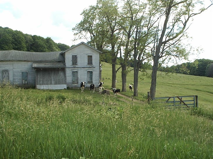 Farmhouse None