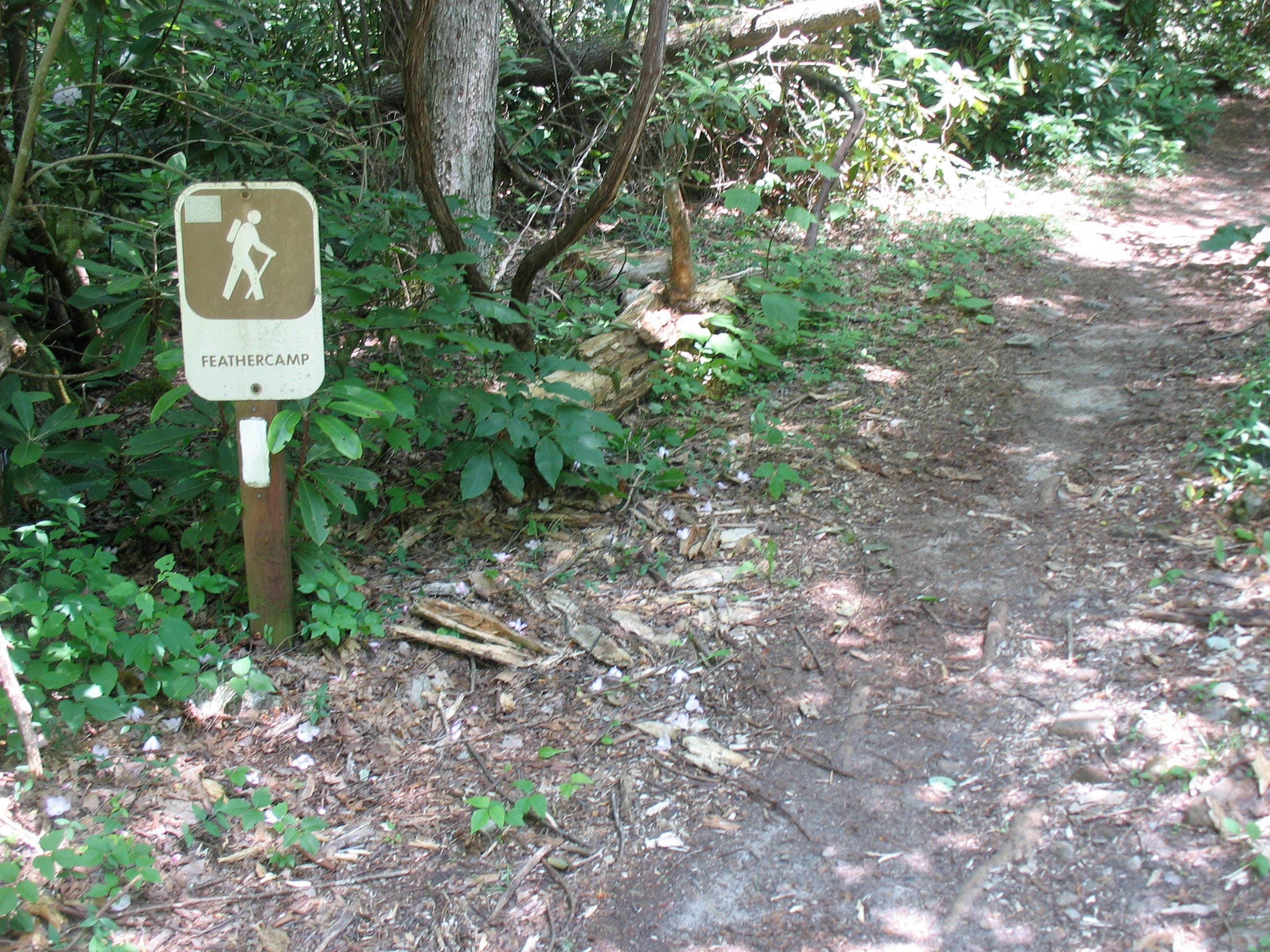 Feathercamp Trail Joins AT None