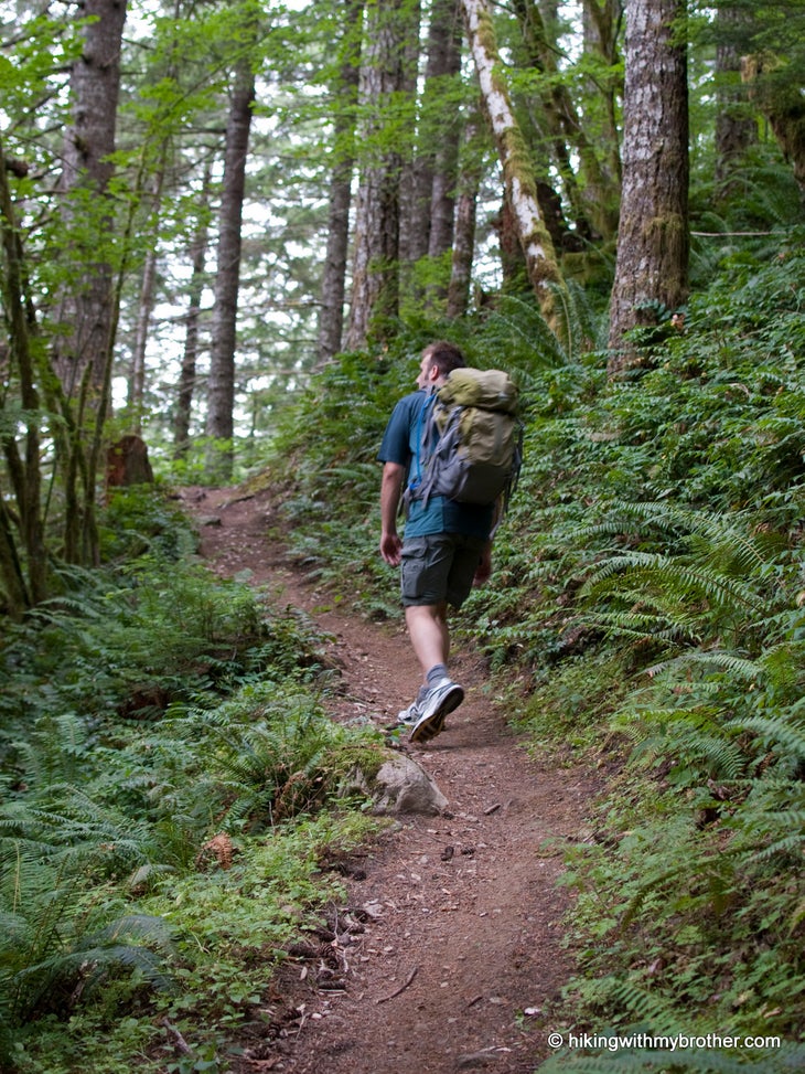 Fellow hiker None