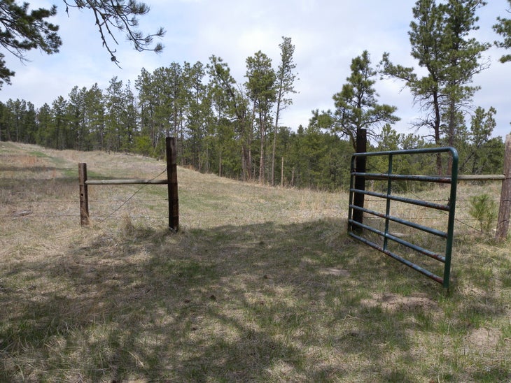 Fence None