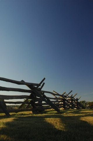 Fence Posts None