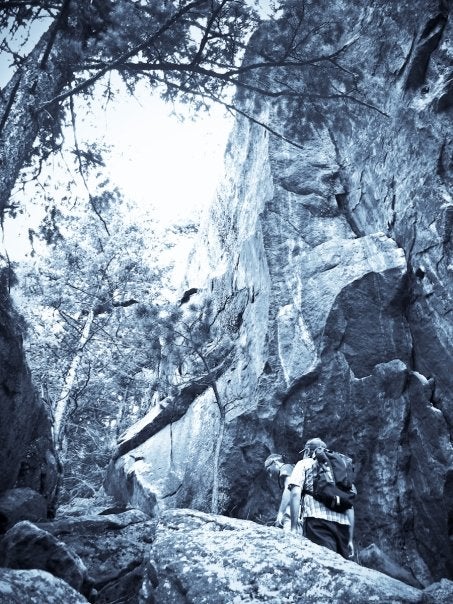 Fern Canyon None