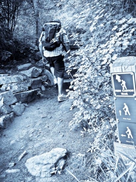 Fern Canyon Trail None