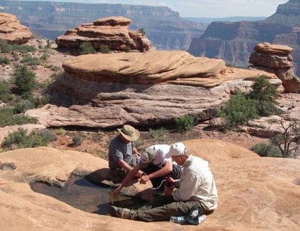 Filtering water from a pothole on Esplanade None