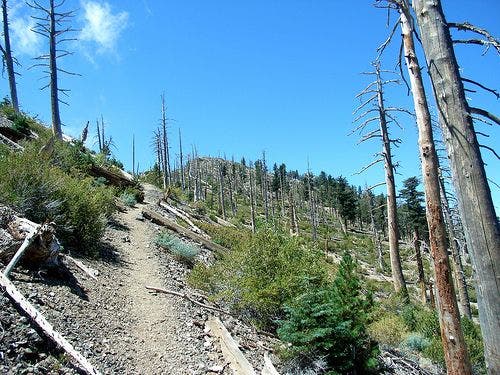 Final ascent to the ridge None