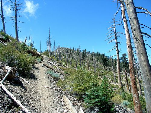 Final ascent to the ridge None