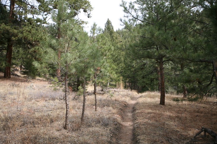 Final Descent Trail None