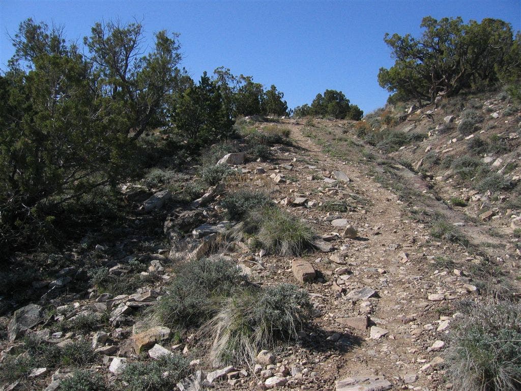 Final Uphill Climb None