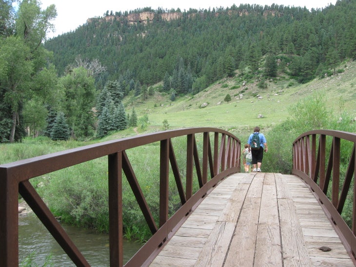 First bridge None