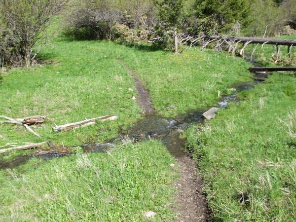 First Creek Crossing None