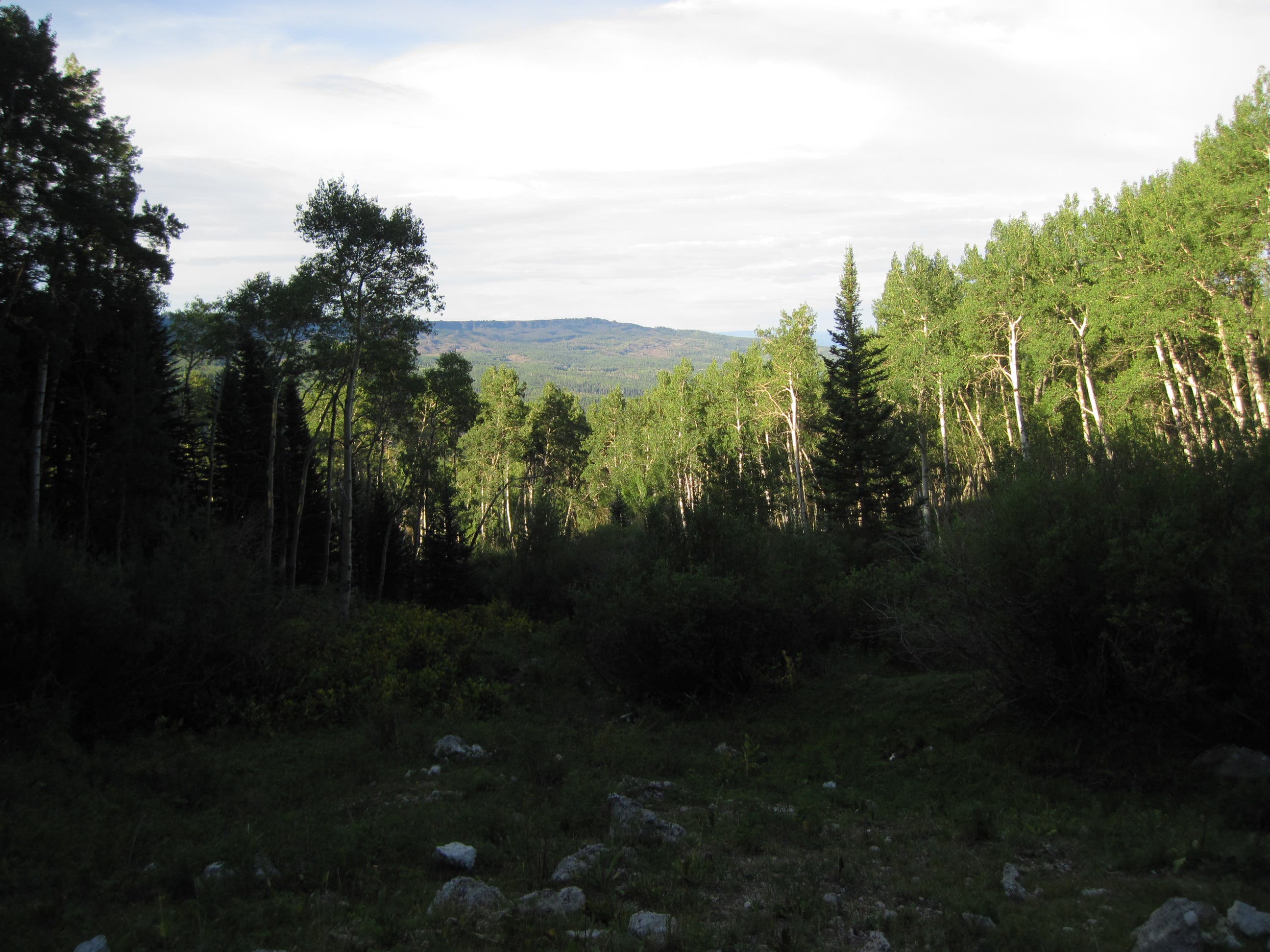 First glance at northface None