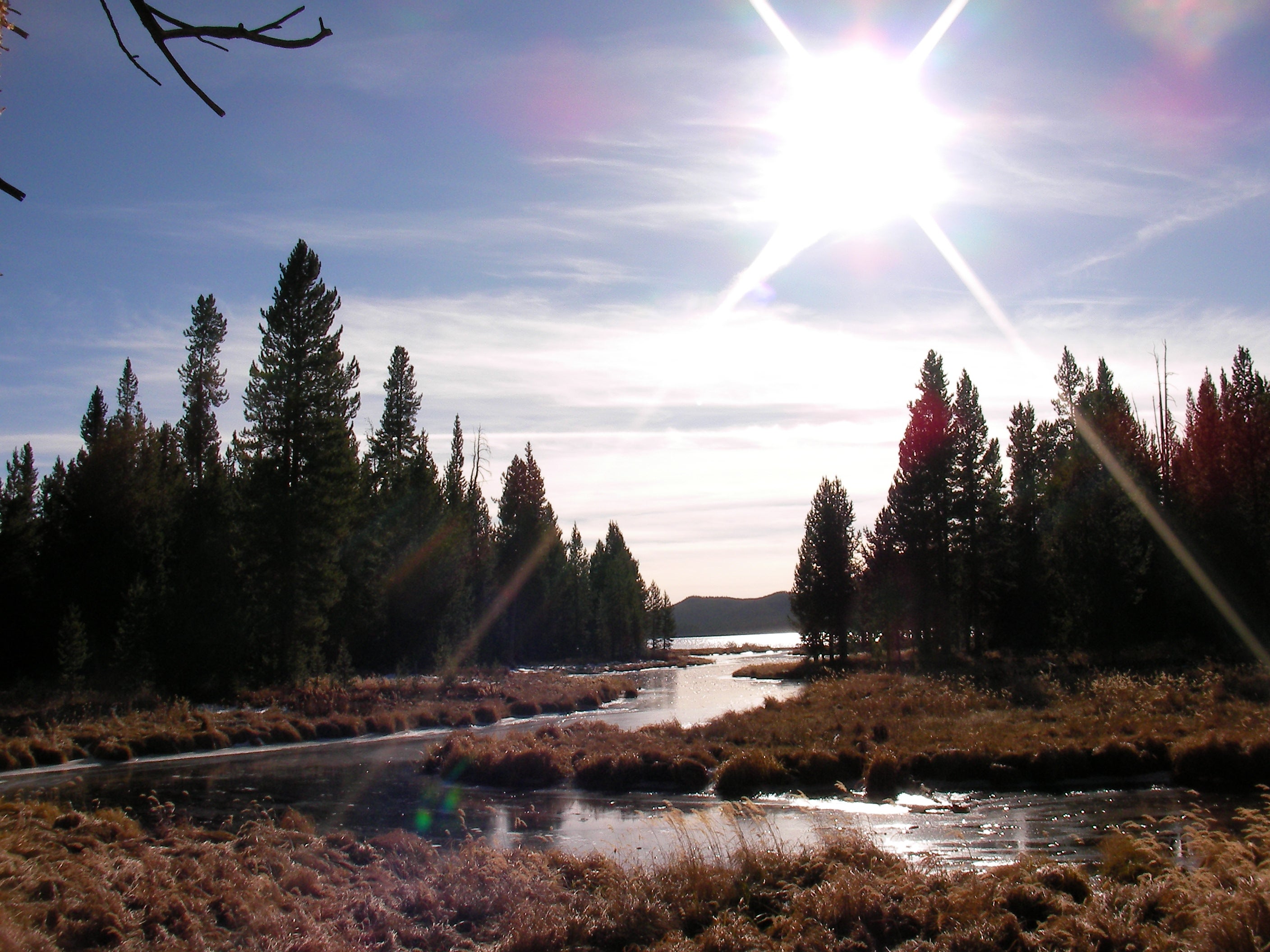 Delacy creek trail on sale yellowstone