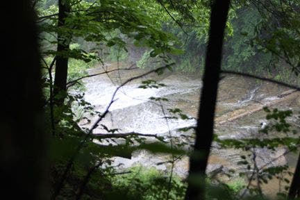 First gorge view None