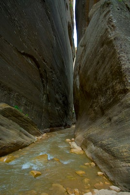 First Narrows None