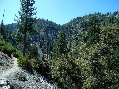 First portion of saddle ascent None