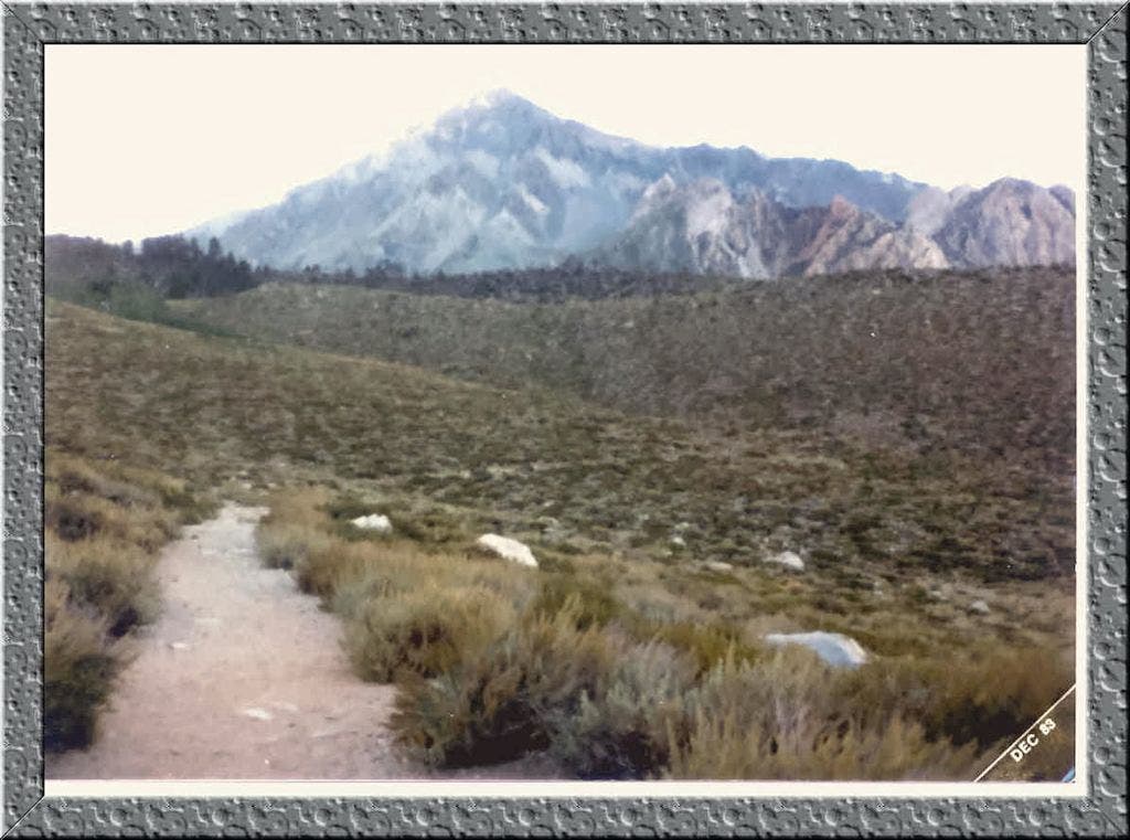 First Switchback None