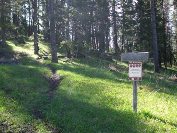 First Trail Junction None