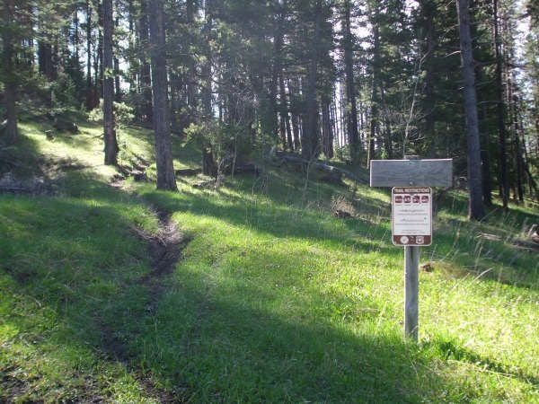 First Trail Junction None