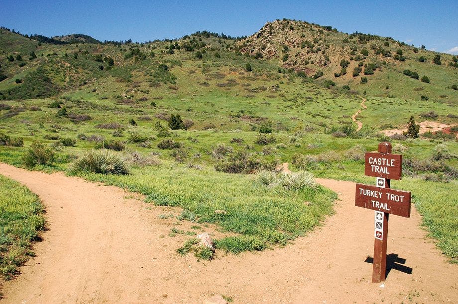 First Trail Junction None