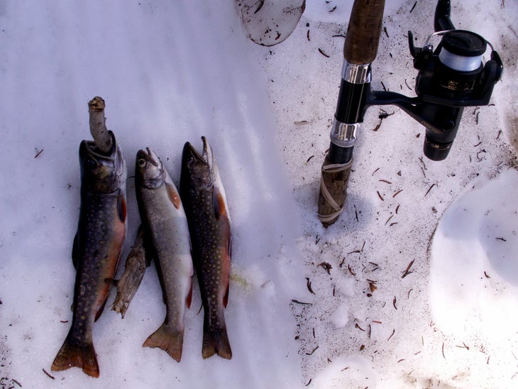 Bonners Ferry, ID Gem Lake
