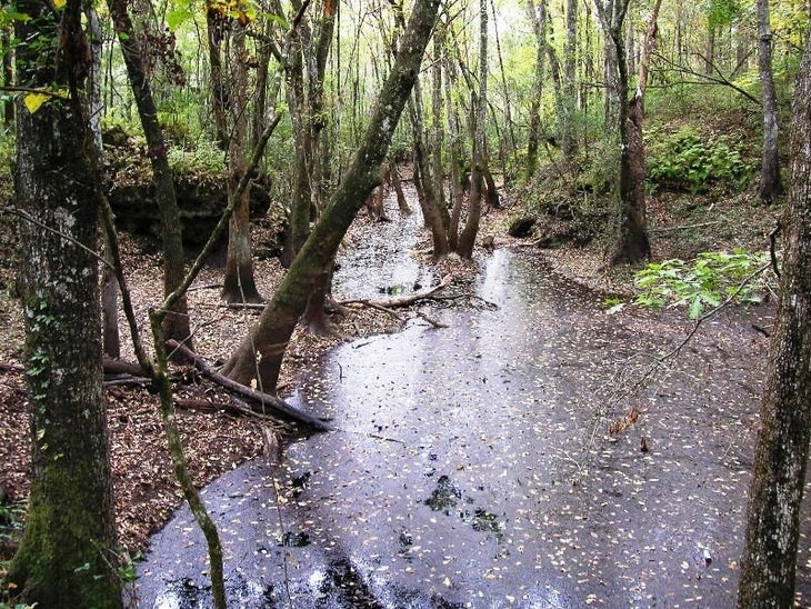Fisher Creek Sink None