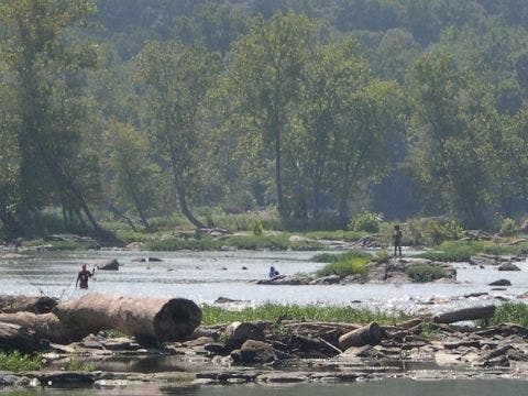 Fishing the Potomac None