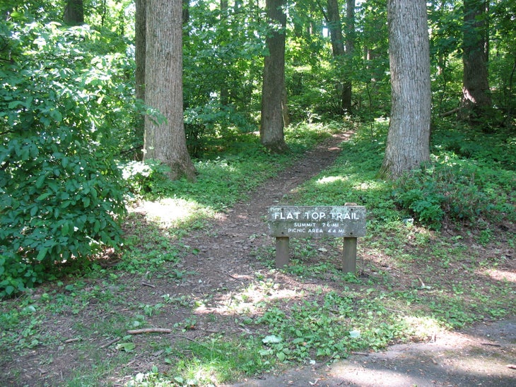 Flat Top Mountain Trailhead None