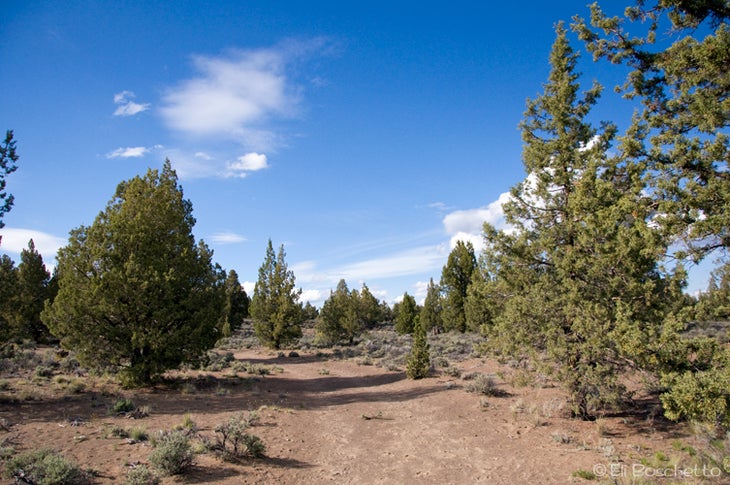 Flatiron Trail None