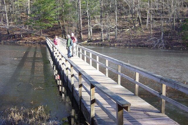 Floating bridge None