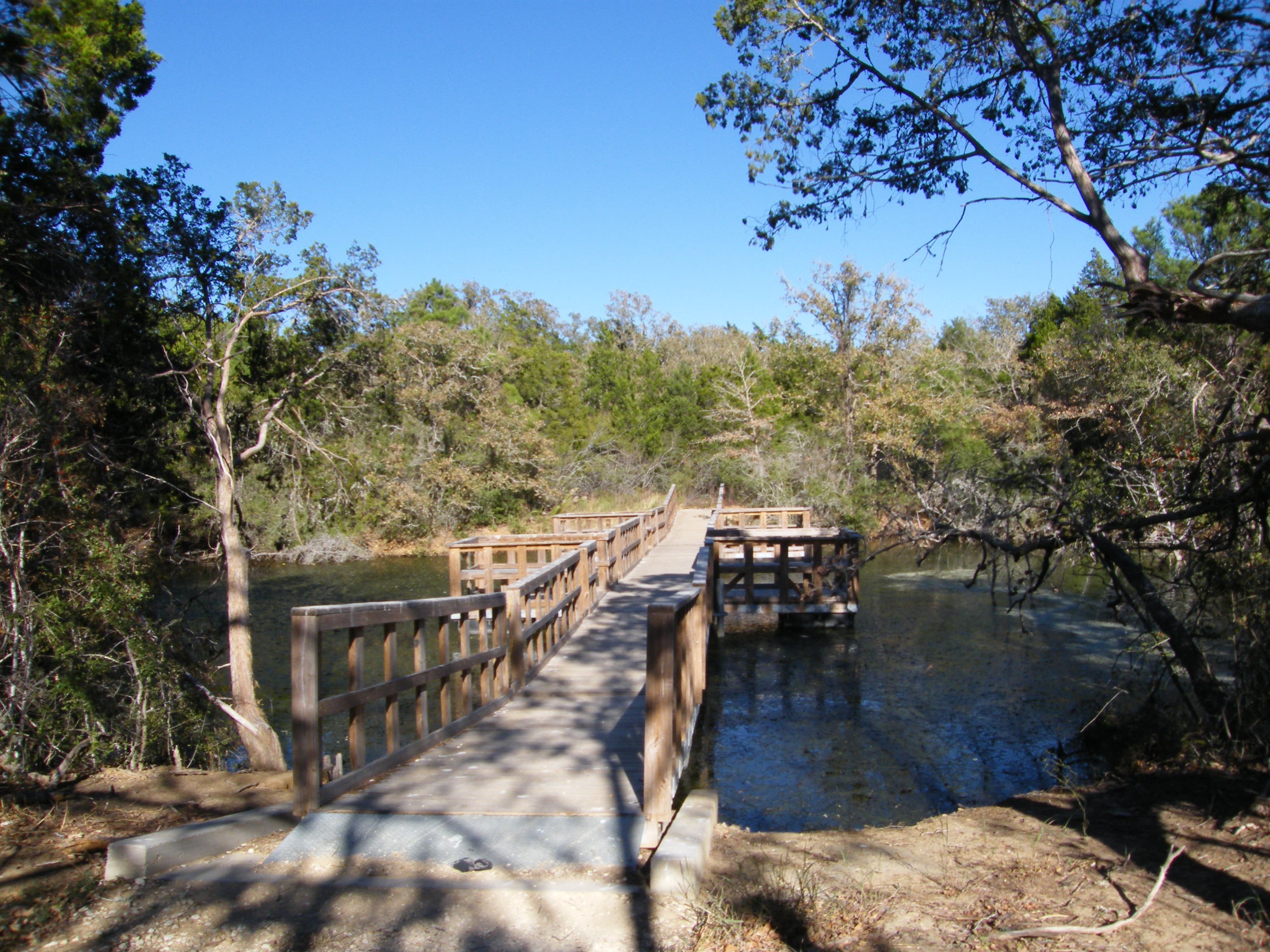 Floating bridges over lake None