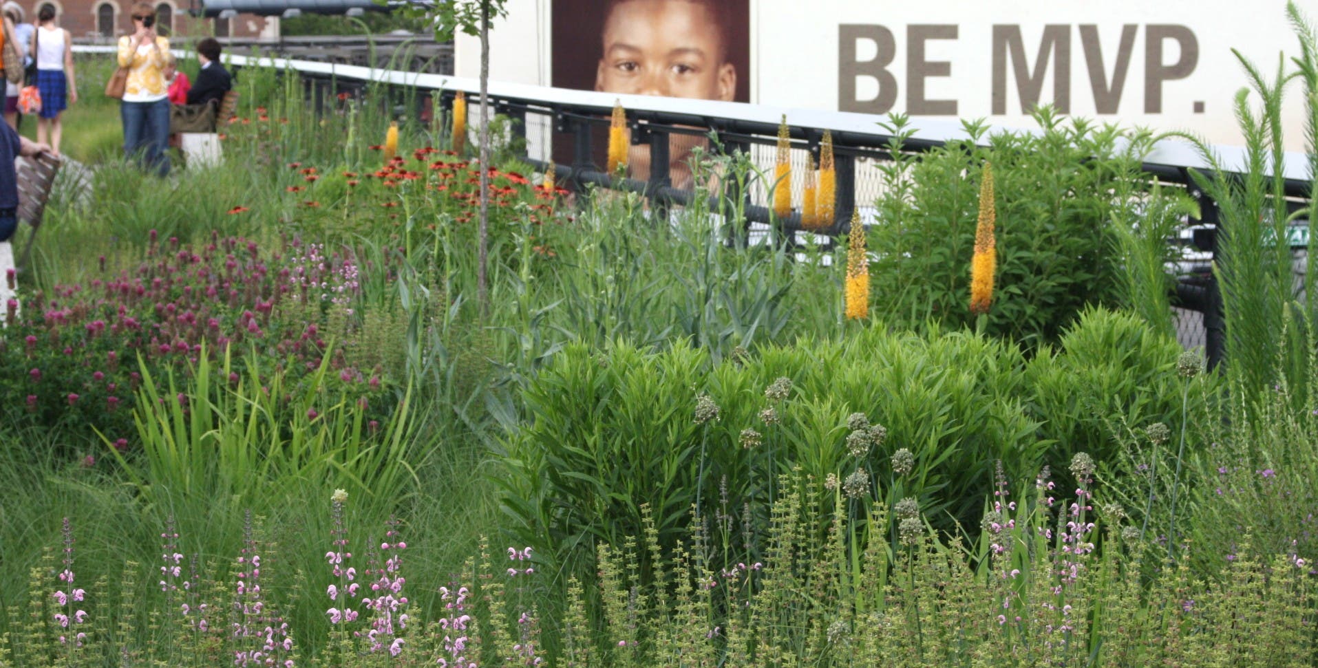 Flowers and Billboards None