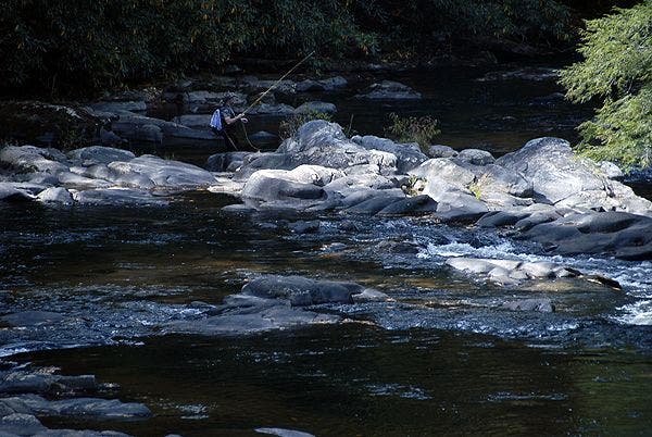 Fly Fishing on the Toccoa None