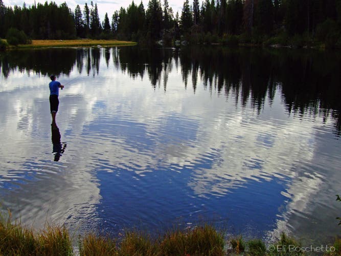 Fly fishing on Trapper Lake None
