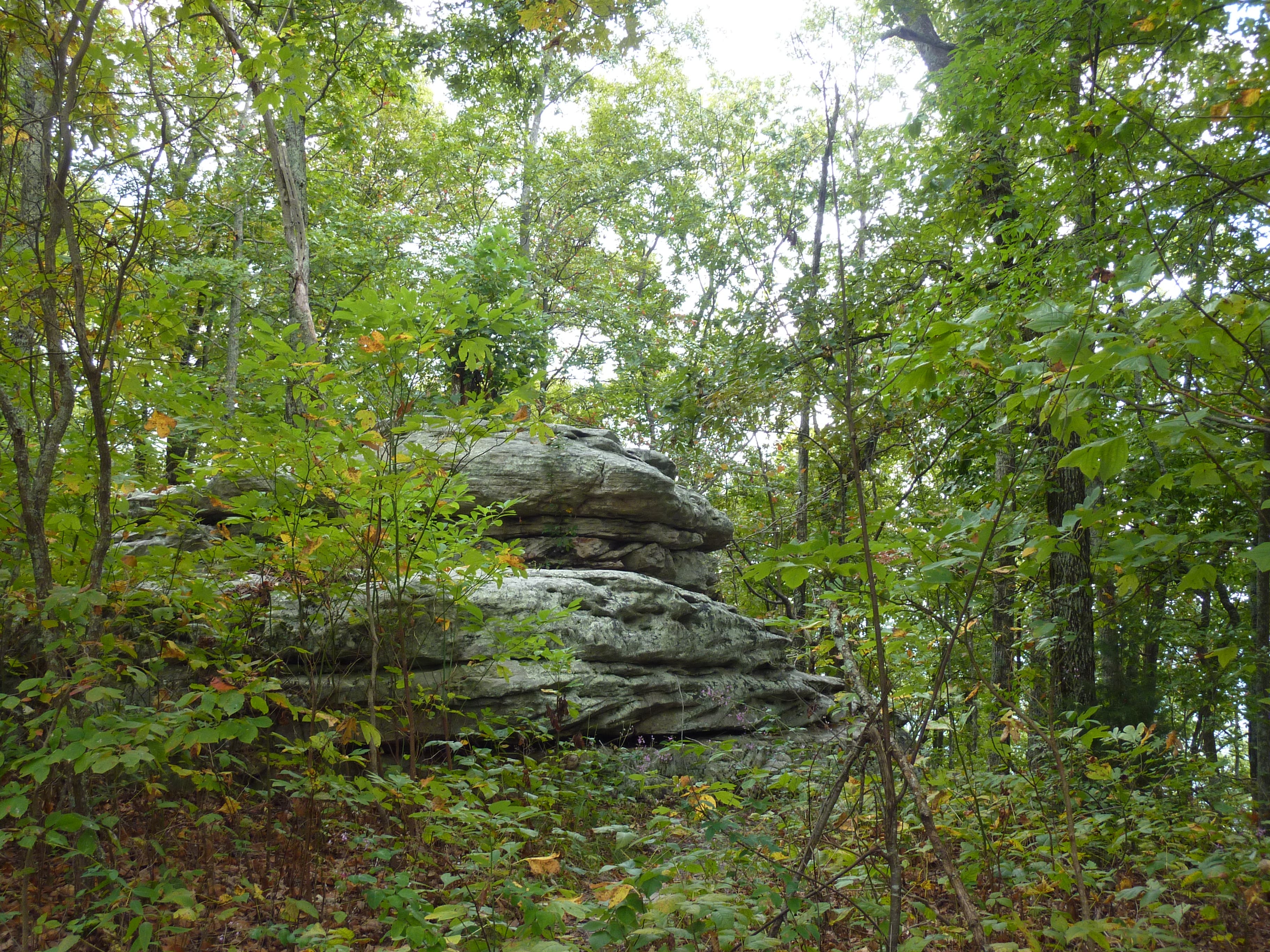 Flying Saucer Rock None