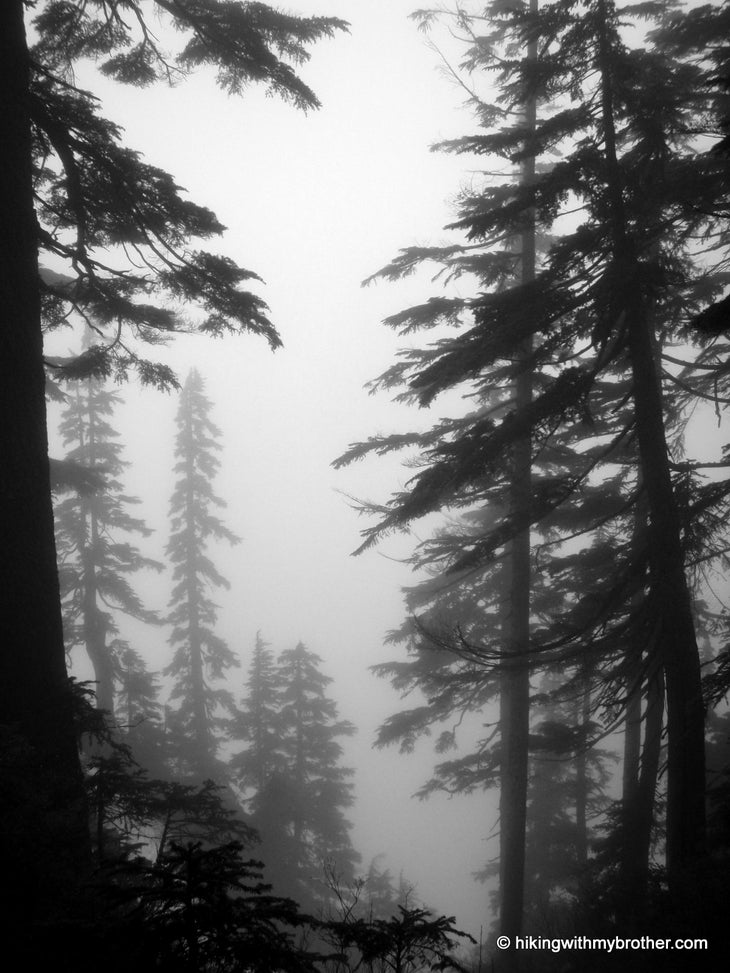 Foggy None