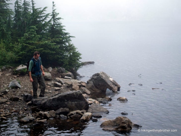 Foggy Shore None