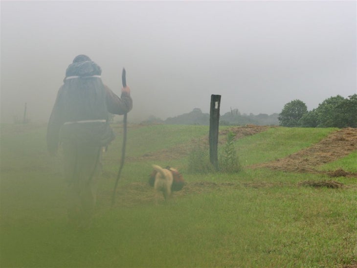 Foggy Trail None