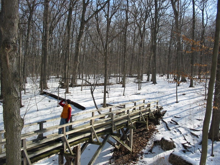 Footbridge None