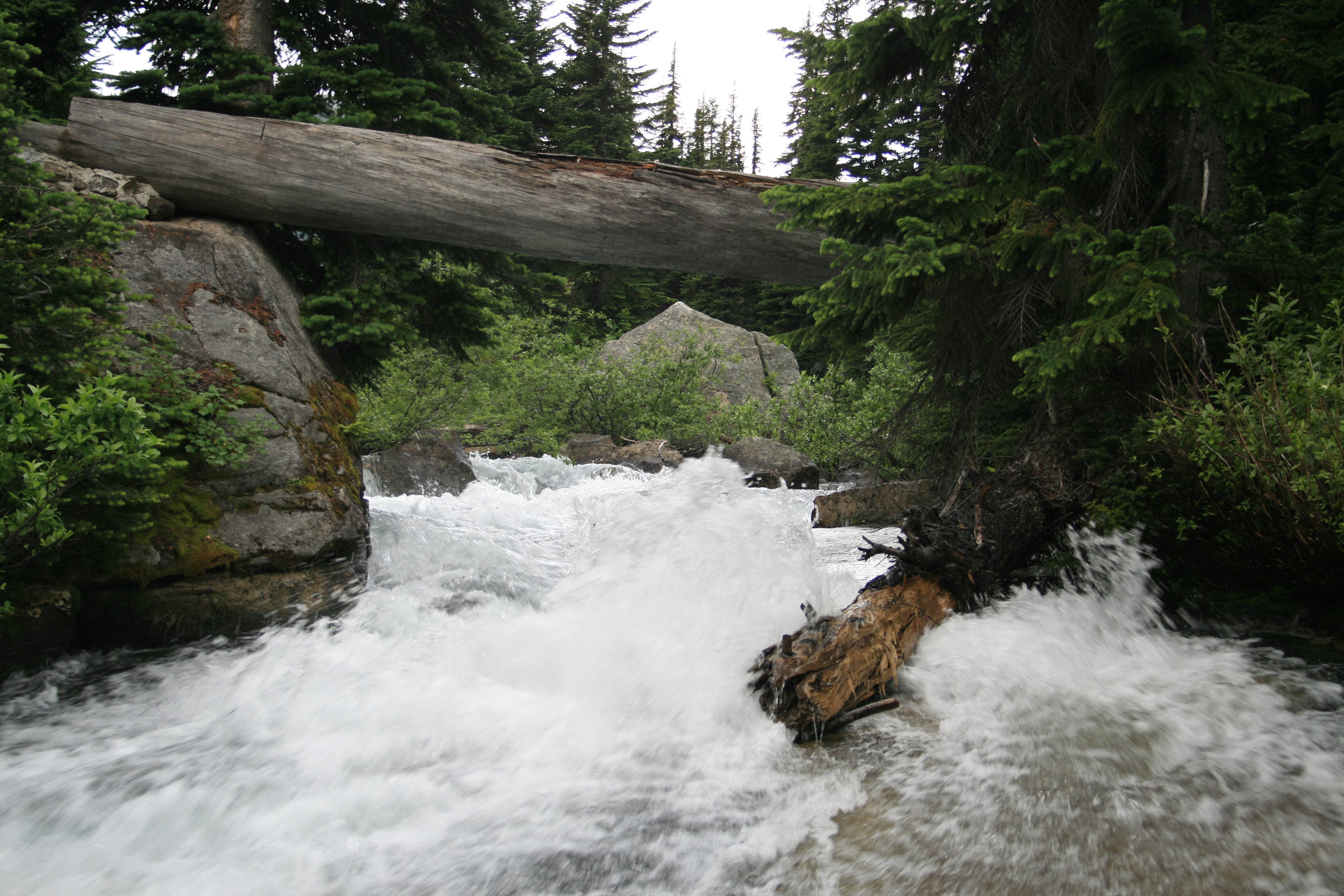 Footbridge to Upper Lyman Lakes None