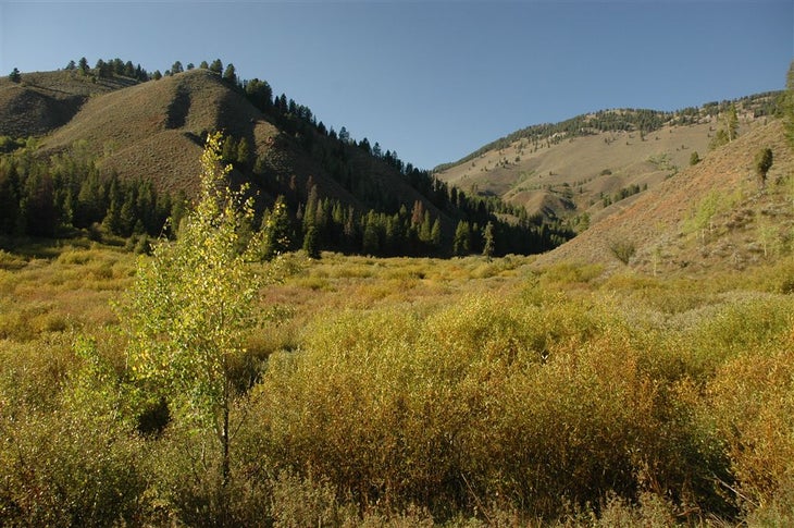 Foothills None