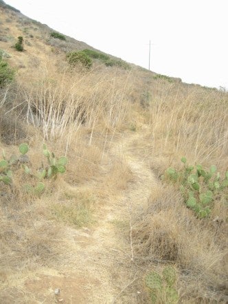 Footpath None