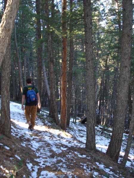 Denver, CO: Enchanted Forest