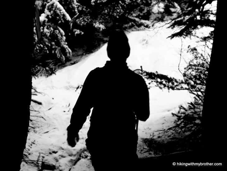 Forest Break None