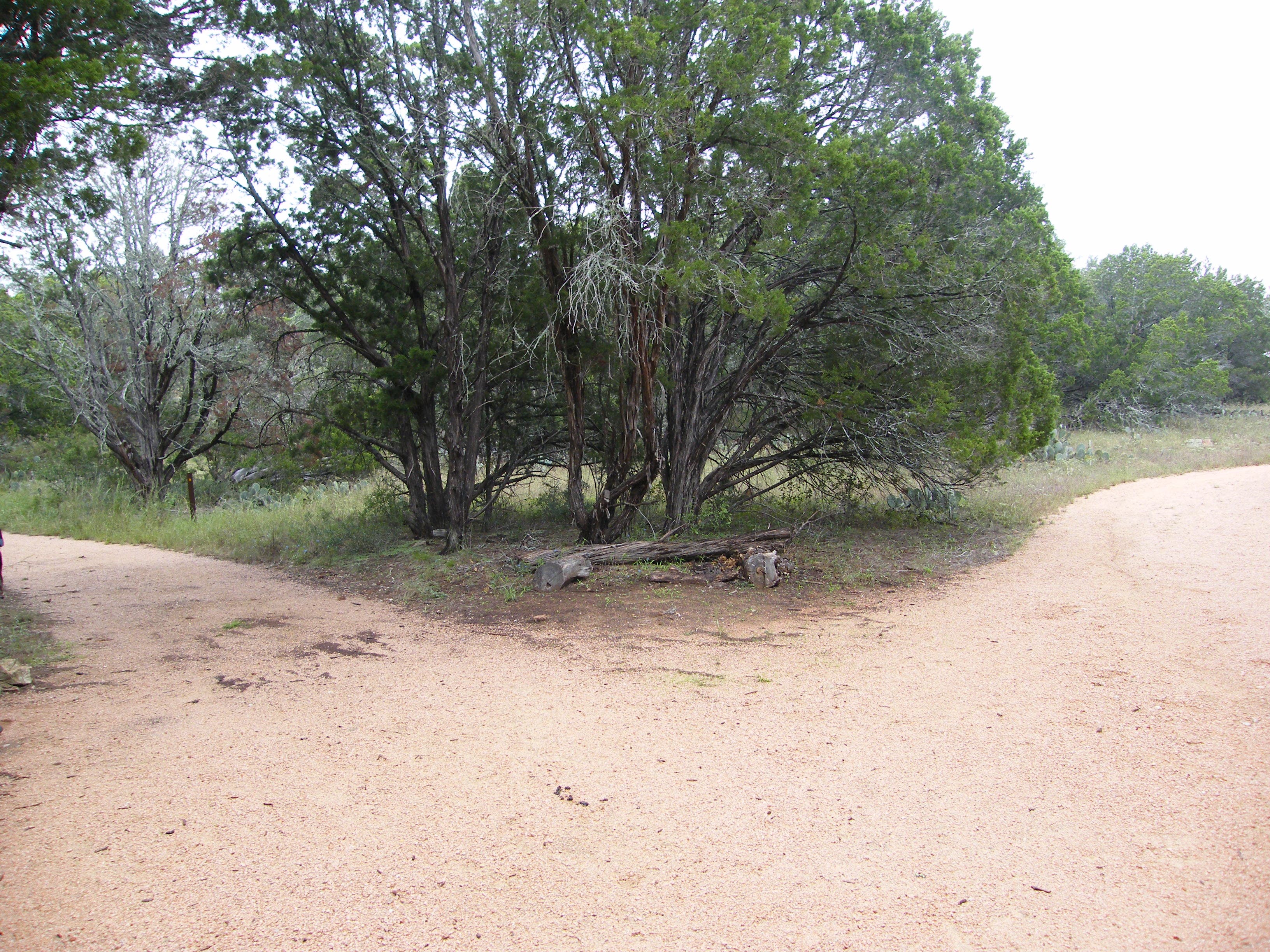 Fork in the road None
