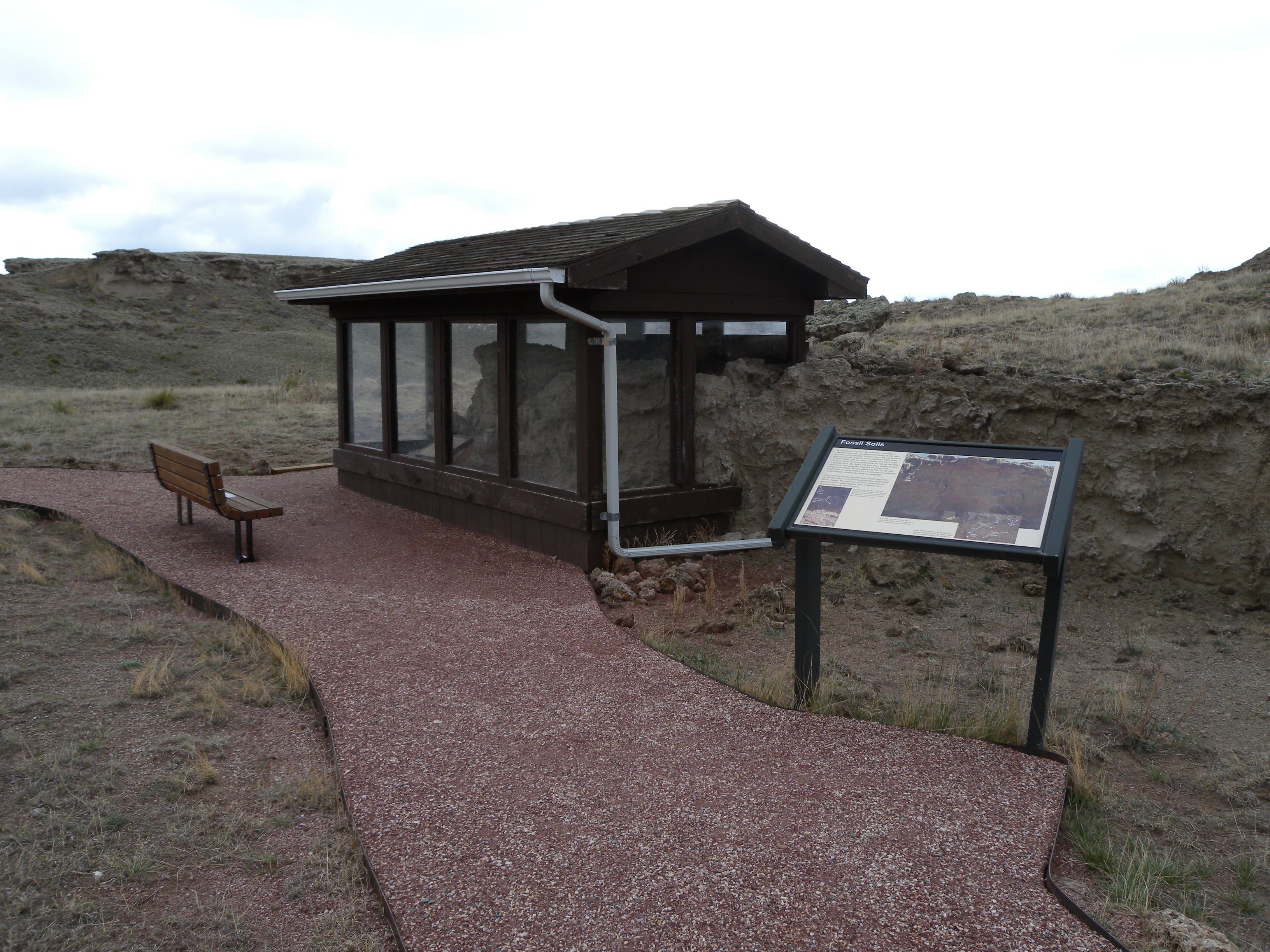 Fossil Sendiments None