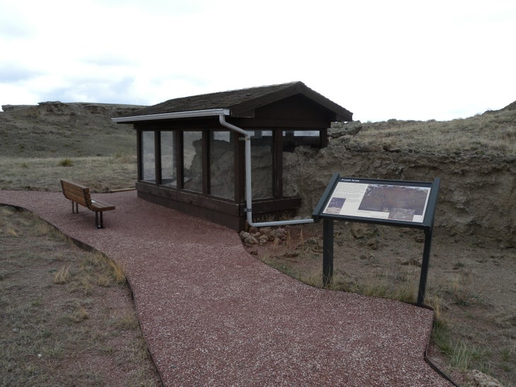 Fossil Sendiments None