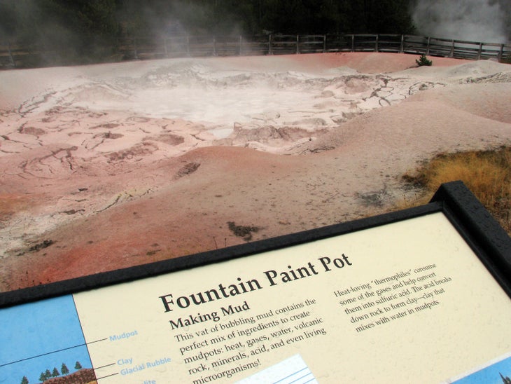 Fountain Paint Pot in Yellowstone National Park - AllTrips