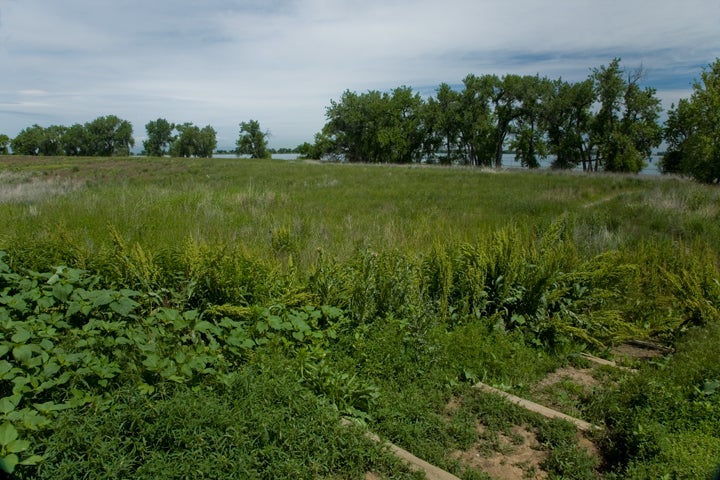 Fox Meadow None