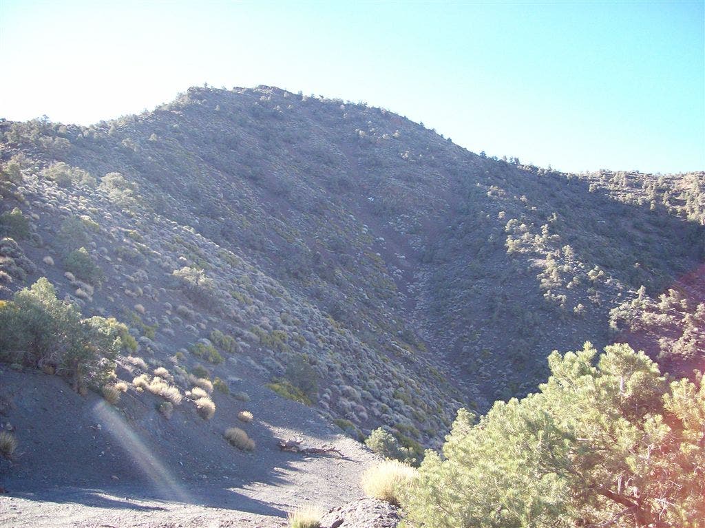 From the Parking Area None