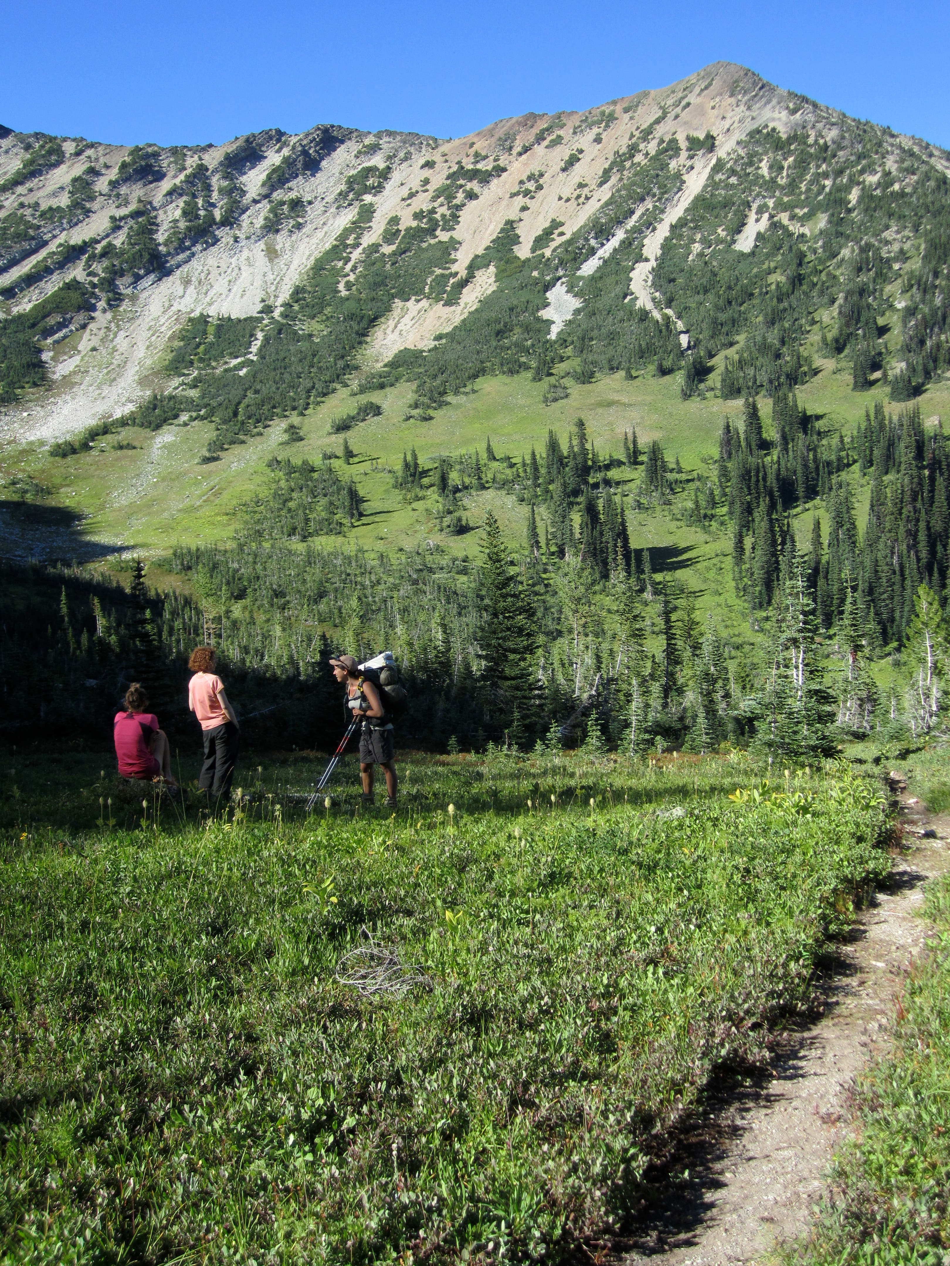 Three hikers talking on the side of the trail in Frosty Pass on the way to Ross Lake. 